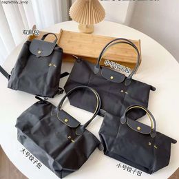 Luxury Leather Designer Brand Nylon Shoulder Bag Tote Bag Embroidered Tote Bag Handbag Dumpling Bag Commuter Large Capacity Nylon Bag3HCN