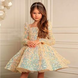 Children's dress Female Children's Day long sleeve sequin pompadour dress Girl's birthday party princess dress costume