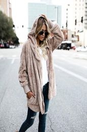 Faux Fur Coat Women Fashion Hooded Streetwear Two Side Wear Winter Coat Women Warm and Comfort Overcoat7163855
