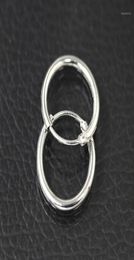 Whole Gold Silver Plated Hoop Earrings Small Huggie Round Circle Loop Earring Women Men Ear Jewelry Accessories Cool Pendient6408674