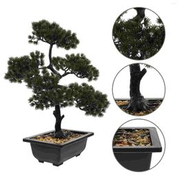 Decorative Flowers Artificial Bonsai Pine Tree Faux Simulation Potted Plant Desk Display Ornaments