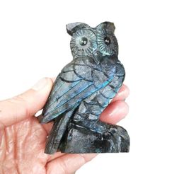 1pcs Natural Crystal Stone Labradorite Carving Owl Crocodile Quartz Crystal Gemstone Quartz Crystal Manual Carving Gift3003839