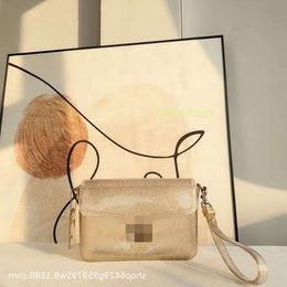 tote bags designers woman Jelly Tabby Spring/Summer Bag Handheld Diagonal Waterproof Transparent Wrist