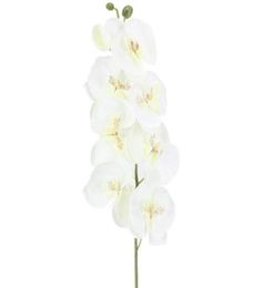 10Pcslot Lifelike Artificial Butterfly Orchid flower Silk Phalaenopsis Wedding Home DIY Decoration Fake Flowers 1464 V22710246