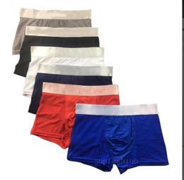 5pcslot Mens Underwear Boxer Shorts Modal Sexy Gay Male Boxers Underpants Breathable New Mesh Man Underwear MXXL High Quality9430489