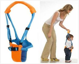 Kid Baby Infant Toddler Harness Walk Learning Assistant Walker Jumper Strap Belt2922796