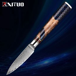 Paring Knife 3.5 inch Fruit Knife,Small Kitchen Knives,VG10 Damascus Super Steel 67-Layers, Full Tang Ink Blue Resin Honeycomb