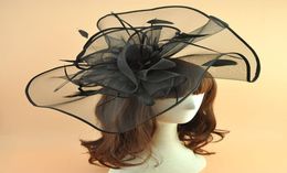 2018 New White Black Plain Feather Facinator Hair Clip VIntage Women Wedding Bride Hats Hairpin Banquet Dinner Ladies Mesh Headdre5741148