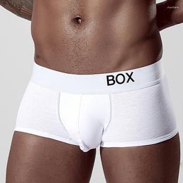 Underpants ORLVS Men;s Cotton Boyshort Comfortable Underwear Sexy Boxers Fashion Shorts Hipster OR