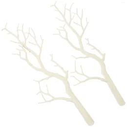 Decorative Flowers 2 Pcs Dry Branches White Tree For Vase Plant Decor Christmas Vases Birch Sticks Decorations Twigs Winter Stems Frosted