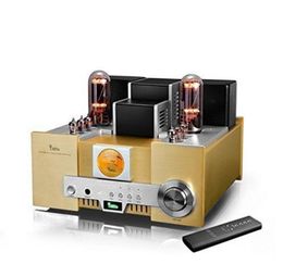 YAQIN MS650B 845 GB Vacuum Tube Hiend Tube Integrated Amplifier 12AT7 12AU7 With Remoto Control 110v240v Brend New2761463