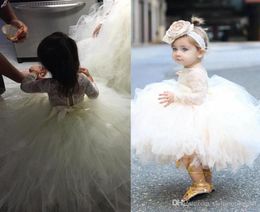 Baby Infant Toddler Pageant Clothes Pricness Flower Girl Dress Long Sleeve Lace TuTu Dress Ivory Champagne Bridal Party2175309