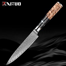 Kitchen Utility Knife, 5" Kitchen Paring Knife, Professional Japanese VG10 Damascus Steel Knife Ergonomic Full Tang Handle