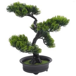 Decorative Flowers Artificial Potted Indoor Plants Desk Decorations Pine Wood Fake Home Outdoor Decoration Realistic Abs Bonsai Tree