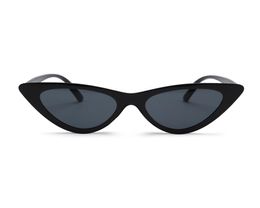 10pcs New Style Brand Sport PC Sports Sunglass Popular Sunglass For Men Sunglasses Outdoor Sport sunglasses 8 colors Google Glasse8862834