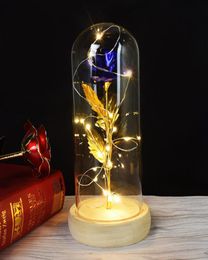 Rose With LED Light rose in glass Dome Beauty Forever Gold plated Flowers For Valentine039s Day Gift2009300