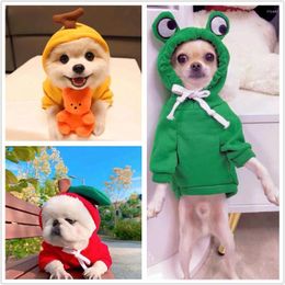 Dog Apparel Super Cute Pet Clothes Small Hoodie Winter Chihuahua Sweatshirt Products Puppy Yorkshire Terrier Costume