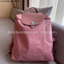 Luxury Handbag Designer Brand Backpack Shoulder Bag Classic Nylon Backpack Versatile for Large Capacity Backpack Leisure Travel Backpack9S18