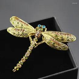 Brooches Crystal Vintage Dragonfly Large Insect Brooch Pin Fashion Dress Coat Accessories Cute Jewellery For Women