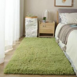 Carpets 91611 Fashionable Carpet Bedroom Cloakroom Lounge Mat Living Room Sofa Coffee Table