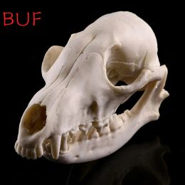 Sculptures Resin Fox Skull Model Halloween Decoration Animal Skull Statue Creative Bar Decoration Skull Sculpture Skull Head Figurine