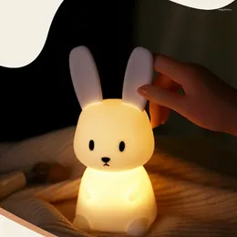 Night Lights LED Light Dimmable USB Rechargeable Children's Sleeping Birthday Gift