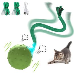 interactive cat rolling ball toy with motion activation automatic moving ball toy and long tail teasing simulation bird sound 240506