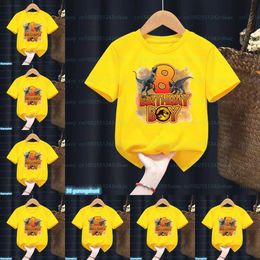 T-shirts Funny Jurassic Park Number 1-13 T-Shirt Dinosaur Happy Birthday Boy Tshirt Baby Kids Clothes Short Sleeve Tees Top Name Custom T240509