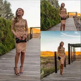 Long Sleeve Short Evening tail Dress Homecoming Dresses High Neck Elegant Mini Lace Party Gowns Customize Hot Sale 0509