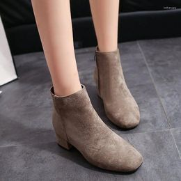 Boots 2024 Autumn Mid-heel Thick Heel Simple Korean Suede Women's Shoes Short Ladies Fashion