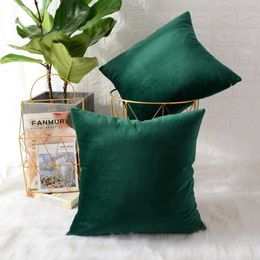 Decorative Pillows For Sofa Emerald Green Home Decor Cushion Cover 45x45 Decoration Pillow Soft Velvet Hugs 240508