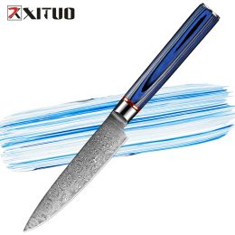 Kitchen Utility Knife 5 Inch Damascus Steel Full Tang Paring Knife Kitchen Chef Knife Cutting Peeling Slicing Fruit Vegetables