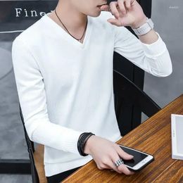 Men's Sweaters Black Business Pullovers Solid Colour Knit Sweater Male Plain White Clothing V Neck Sweat-shirt Warm Casual 2024 Trend X T