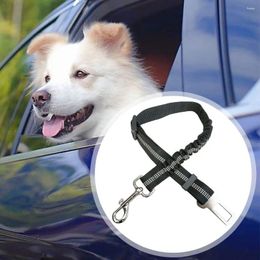 Dog Carrier Seat Belt Adjustable Elastic Lead Puppy Travel Car Safety Rope Vehicle Nylon Pet Accessories