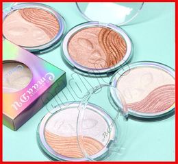 2019 Newest Face makeup CmaaDu Highlighter Brighten Shimmer Face Powder Palette Base Illuminator Face Contour Bronzer 4 colors1157079