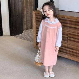 Clothing Sets Children Girls Dress Set Korean Style Fashion 2024 Fashionable Embroidered Shirt Vest Skirt Two-piece