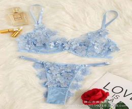 2022 Summer Sex Doll Women039s 2piece Butterfly Applique Embroidery Mesh Sexy Lace Cute Lingerie Set5344449