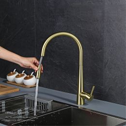 Kitchen design faucet modern North American sink cold and hot brass faucet pull type rotary Brushed gold faucet