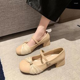 Dress Shoes Mesh Single 2024 Thick Heels With One Belt Commuting High Retro Soft Leather Step Women's