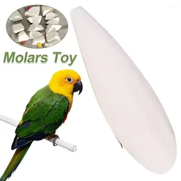 Other Bird Supplies Cuttlefish Bone For Parrot Chew Toys Hamster Parakeet Cockatiel Molars Chewing Cuttlebone Pets