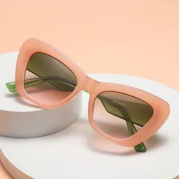 Sunglasses Stylish Cat Eye Shape Women European American Style Sun Glass For Men Fashion Party Club Show Female Sunglass