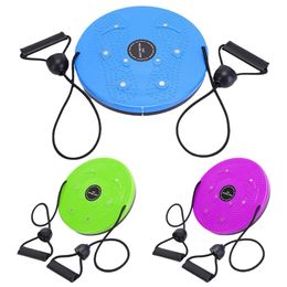 Exercise Waist Twisting Disc Massage Torsion Fitness Equipment Body Dance Plate Magnetic Tool 240416