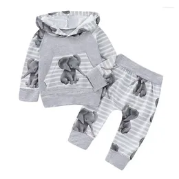 Clothing Sets Born Baby Girls Boy Lopng Sleeve Cotton Elephant Hooded Tops Long Pants Tracksuit Trousers Outfits Autumn Clothes
