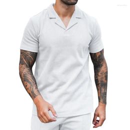 Men's T Shirts 2024 Summer Waffle V-neck Polo Shirt With Flip Collar Short Sleeved Casual Solid Colour T-shirt
