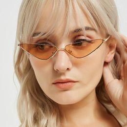 Sunglasses Vintage Triangle Cat Eye Women Sexy Retro Small Metal Frame Mirror Eyewear Brand Designer Feminino Cateye Eyeglasses 261G