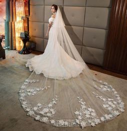 2019 New Cathedral Length Wedding Veils long lace Appliqued Cheap Two Tier 3M Bridal Veil With Comb1449858