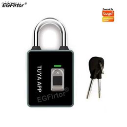 Smart Lock EGFirtor Tuya fingerprint padlock IC card RFID password key NFC unlocking method waterproof IP65 Bluetooth intelligent electronic door lock WX