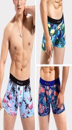 Underpants Collection Men039s Underwear Boxers Sexy Gym Pull Bikini under Drags Manin Cartoon Leica8895482