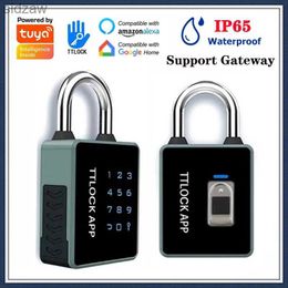 Smart Lock Tuya TTLOCK intelligent padlock application controls waterproof password IC card RFID Bluetooth anti-theft luggage bag electronic door lock WX