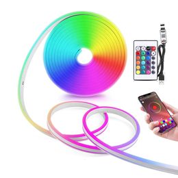 5V USB RGB Neon LED Strip Light1M 2M Waterproof With Bluetooth App and Remote Control For Home Decor Lighting 240508